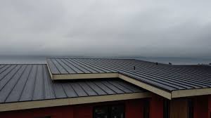 Steel Roofing in Four Bridges, OH